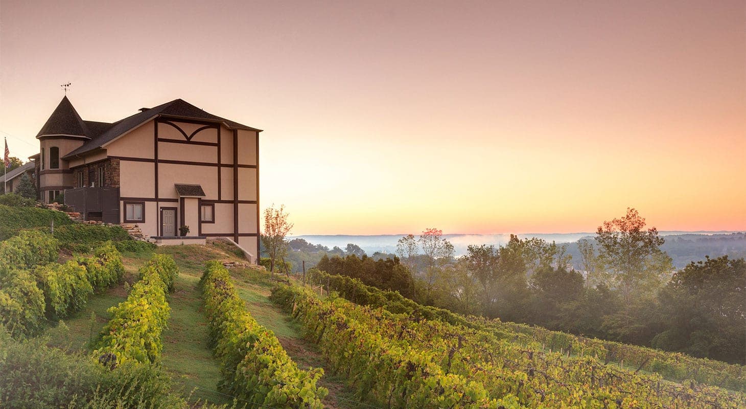 A vineyard house on a hillside at sunset.