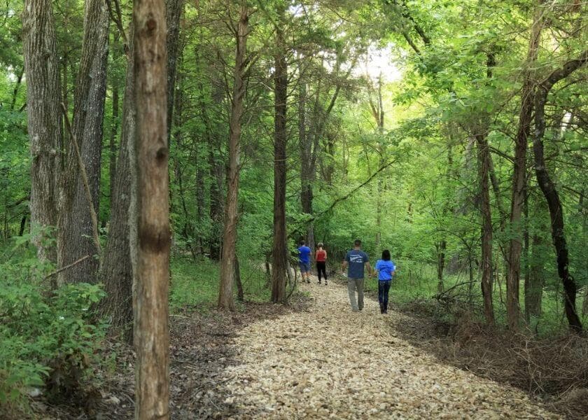 People walking along a gravel path in a lush green forest. People walking along a gravel path in a lush green forest.