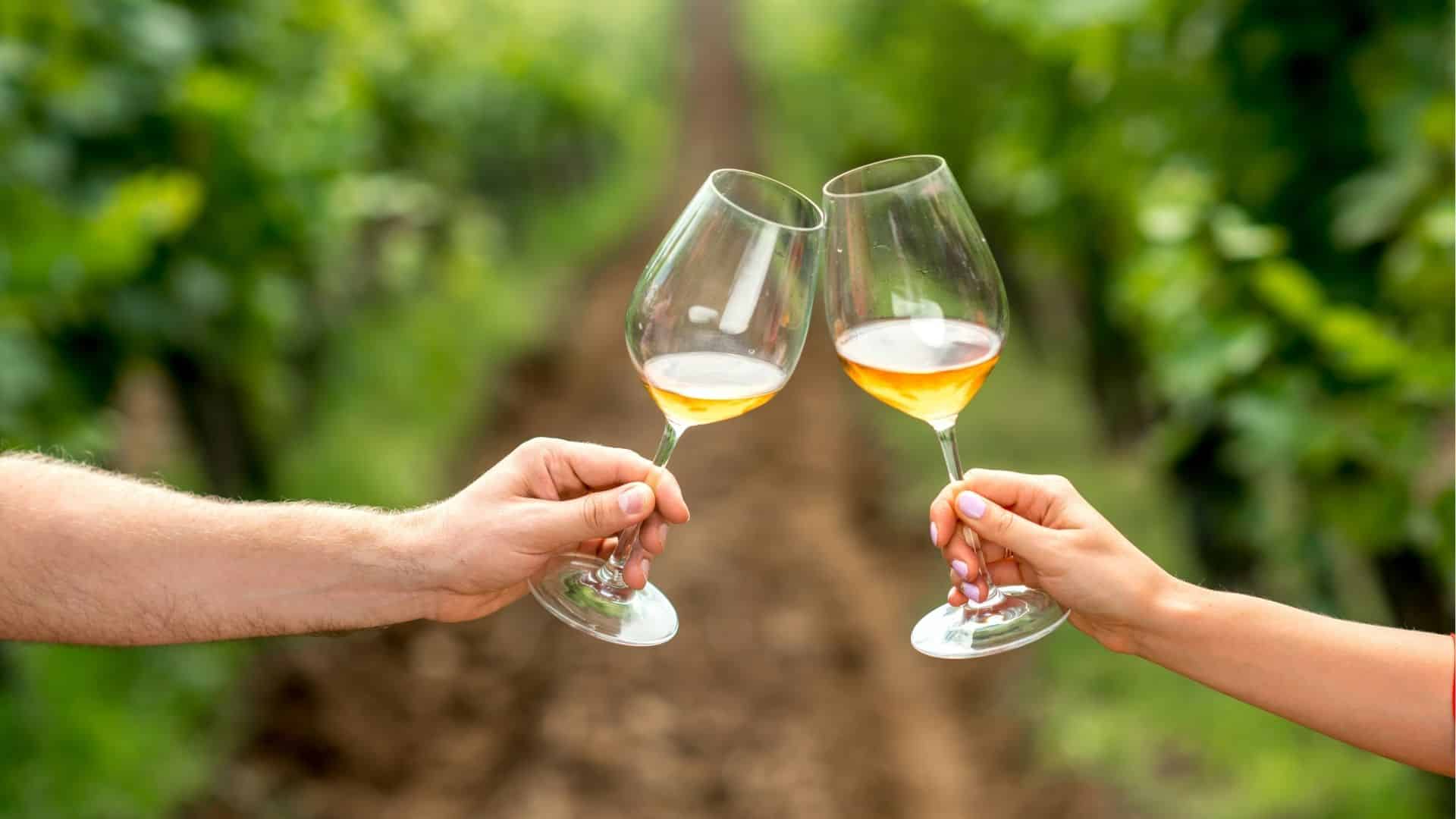 Two hands clink wine glasses in a vineyard.