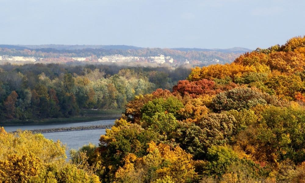 Fall foliage overlooking the Missouri River Valley near Hermann Hill in Hermann, Missouri. Fall foliage overlooking the Missouri River Valley near Hermann Hill in Hermann, Missouri.