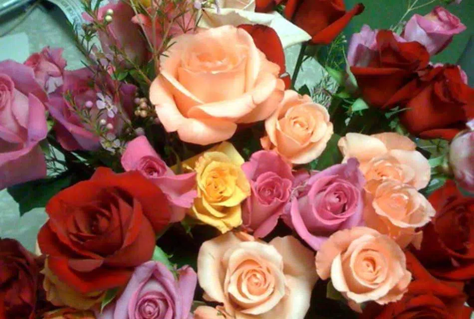 Close up view of a flower bouquet with red, yellow, pink, and peach roses