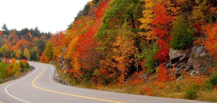 Winding scenic road surrounded by vibrant red, orange, and yellow fall foliage.