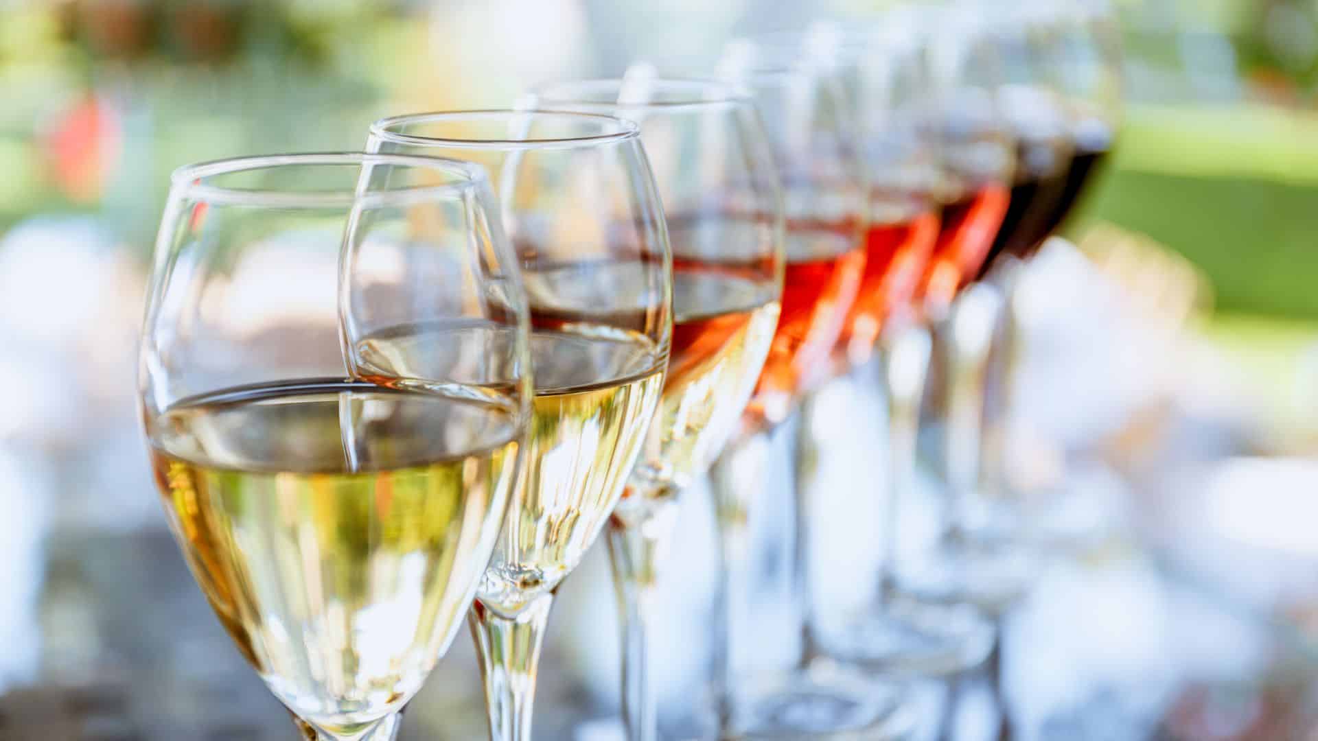 A row of wine glasses filled with varying types of wine.