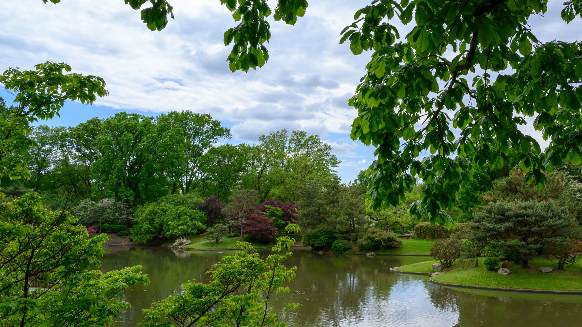 Lush greenery surrounds a serene pond under a cloudy sky.