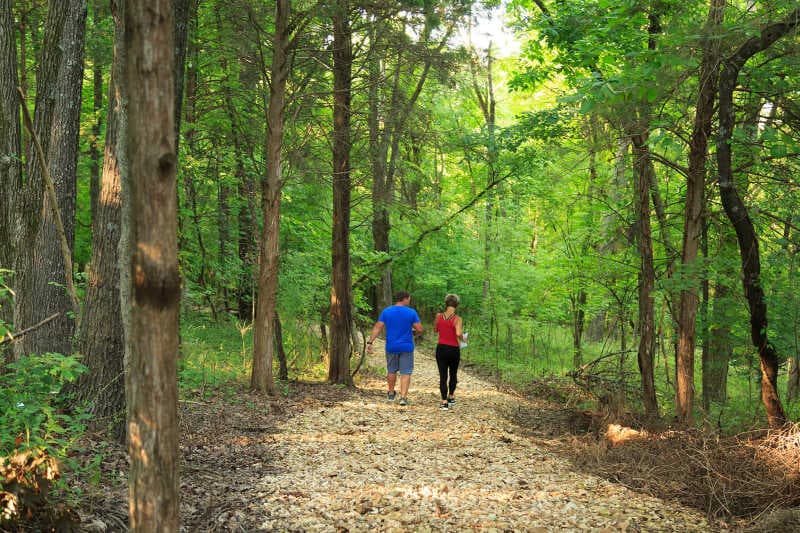 A man and a woman walk along a gravel path through a lush green forest.