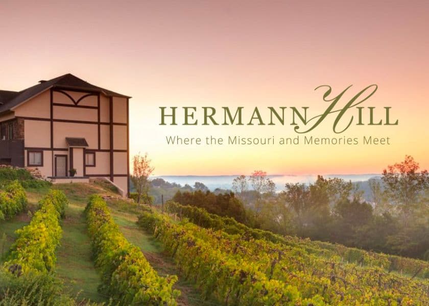 hermann hill vineyard at sunset