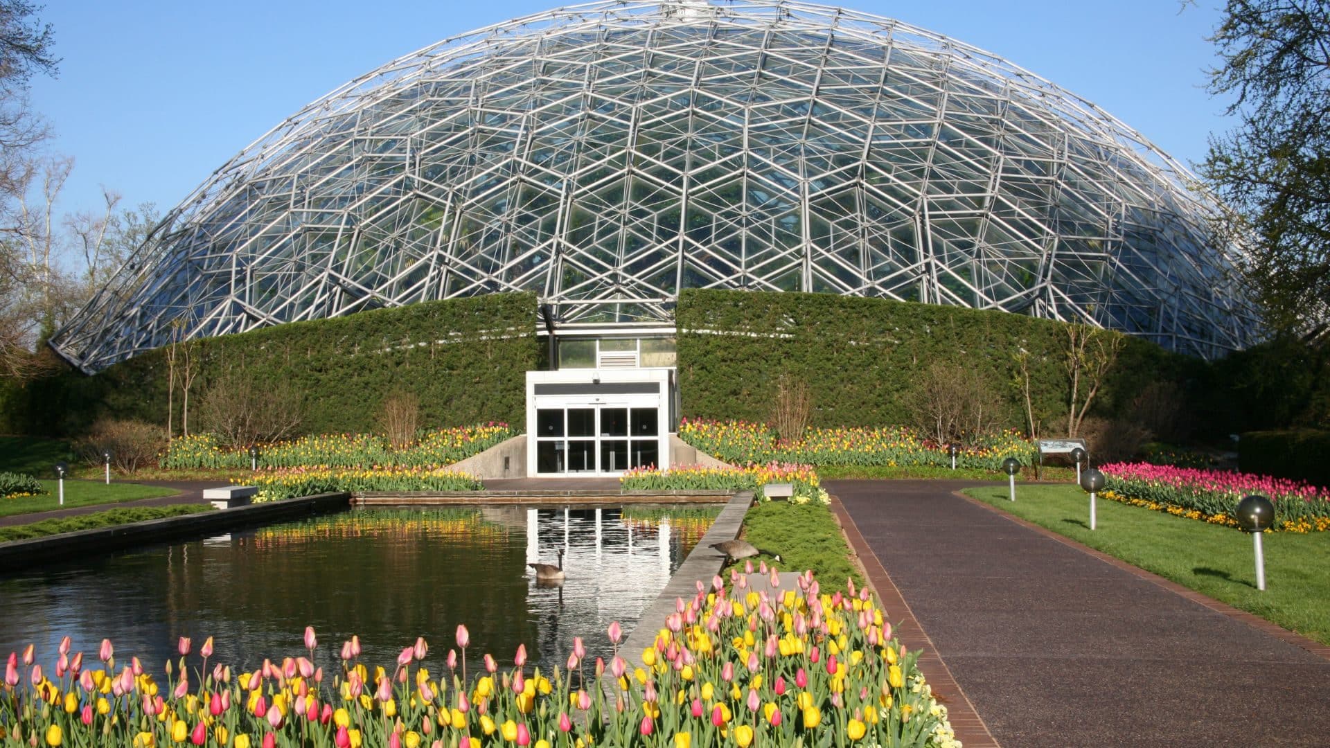 Large, white Climatron Geodesic Dome Conservatory surrounded by plants, flowers and trees.