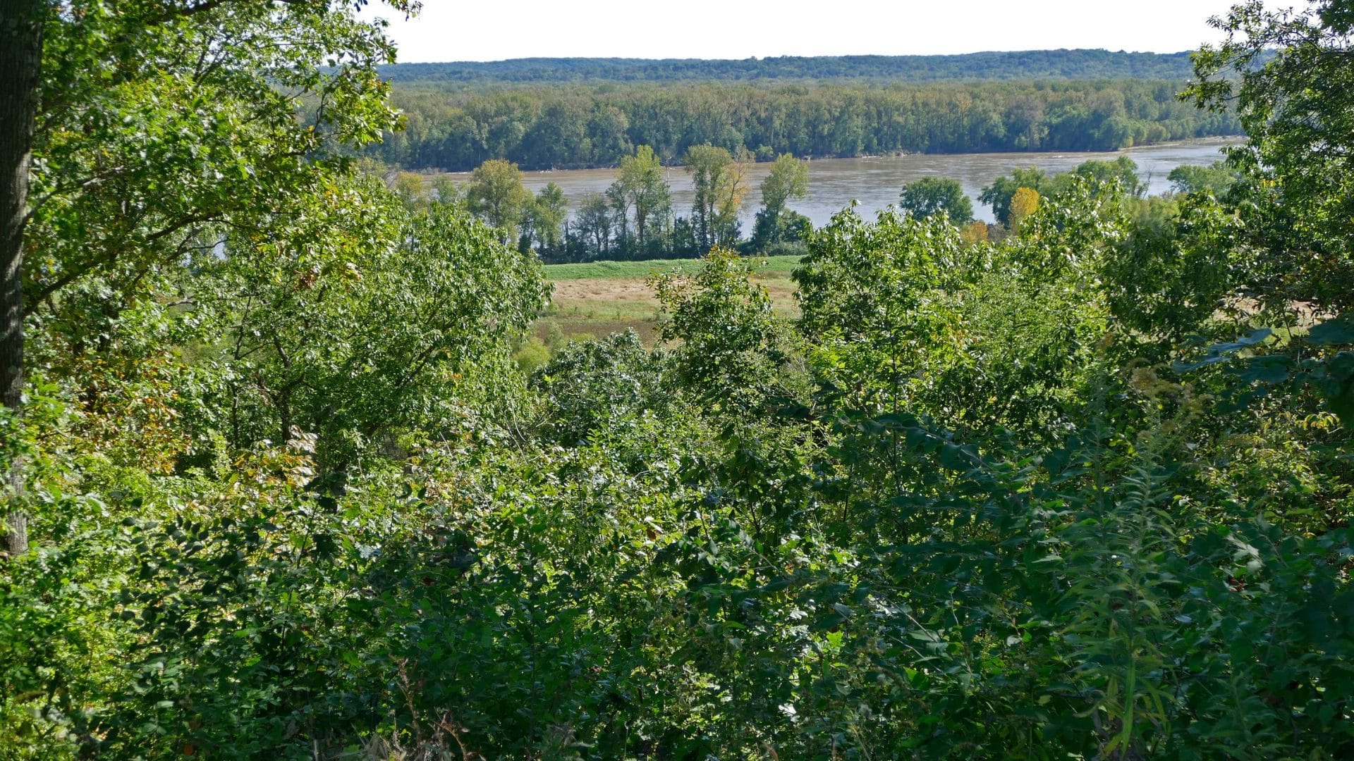 View of the Missouri River through lush green trees on a sunny day.